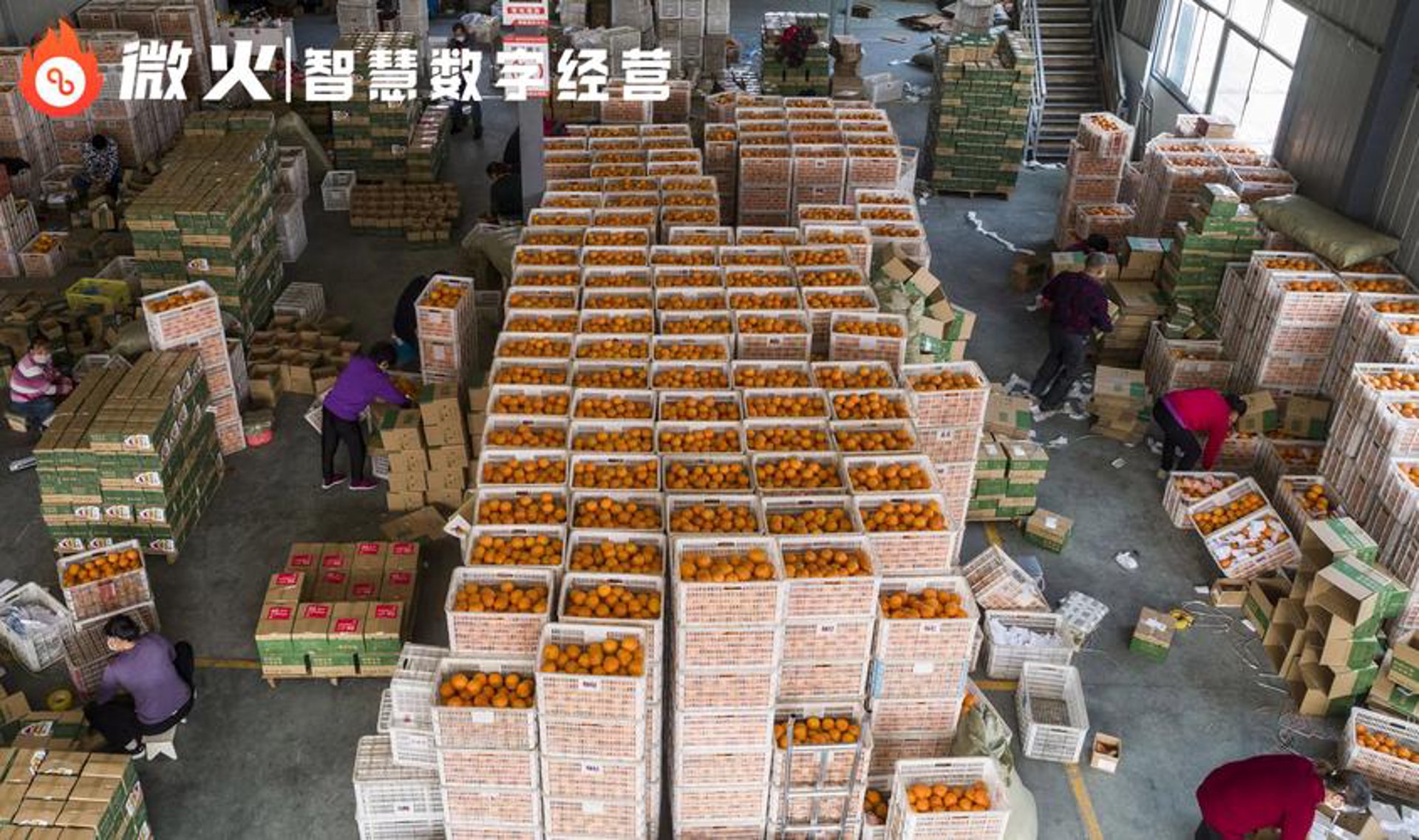 顺财达农副产品